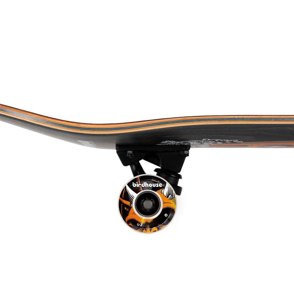 Kilimanjaro Set - Image 3